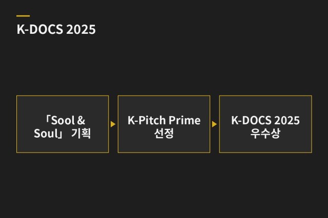 국제 다큐멘터리 영화제 수상 (K-DOCS 2025) — 과업 도표