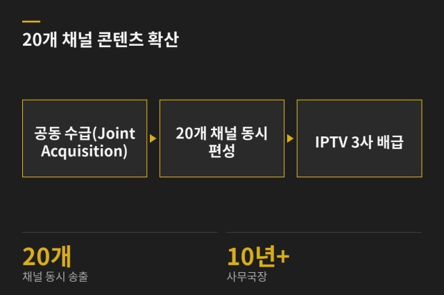 편성협의체 주도 '20개 채널 콘텐츠 확산 프로젝트' — 과업 도표
